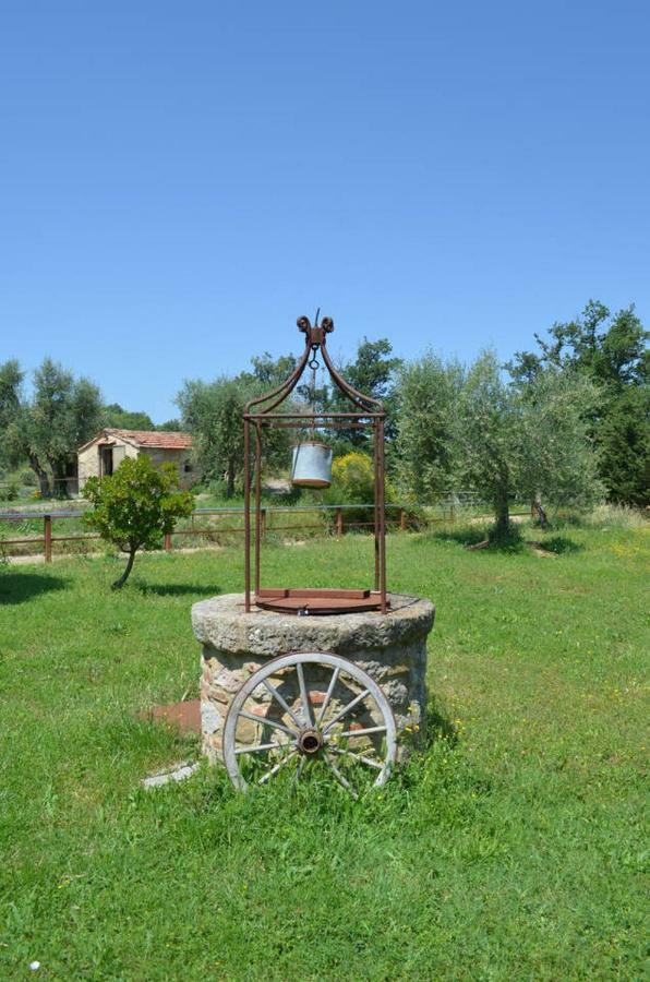 La Casina Degli Olivi Pensionat Seggiano Exteriör bild